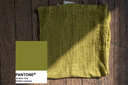 Valentina Cinch Skirt: Organic Cotton Bamboo
