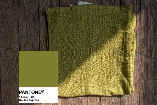 Valentina Cinch Skirt: Organic Cotton Bamboo