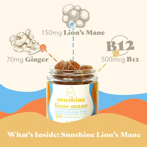 Melena de león Sunshine | Gomita de miel de champiñones | Energía y concentración