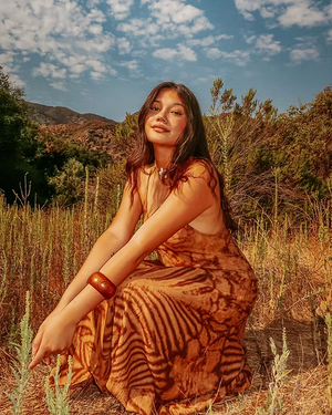The Wyoming Dress