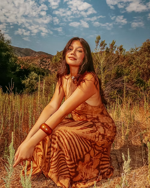 The Wyoming Dress